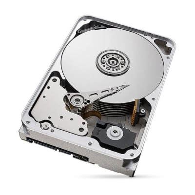 Жесткий диск 12TB Seagate SkyHawk AI ST12000VE003 для видеонаблюдения